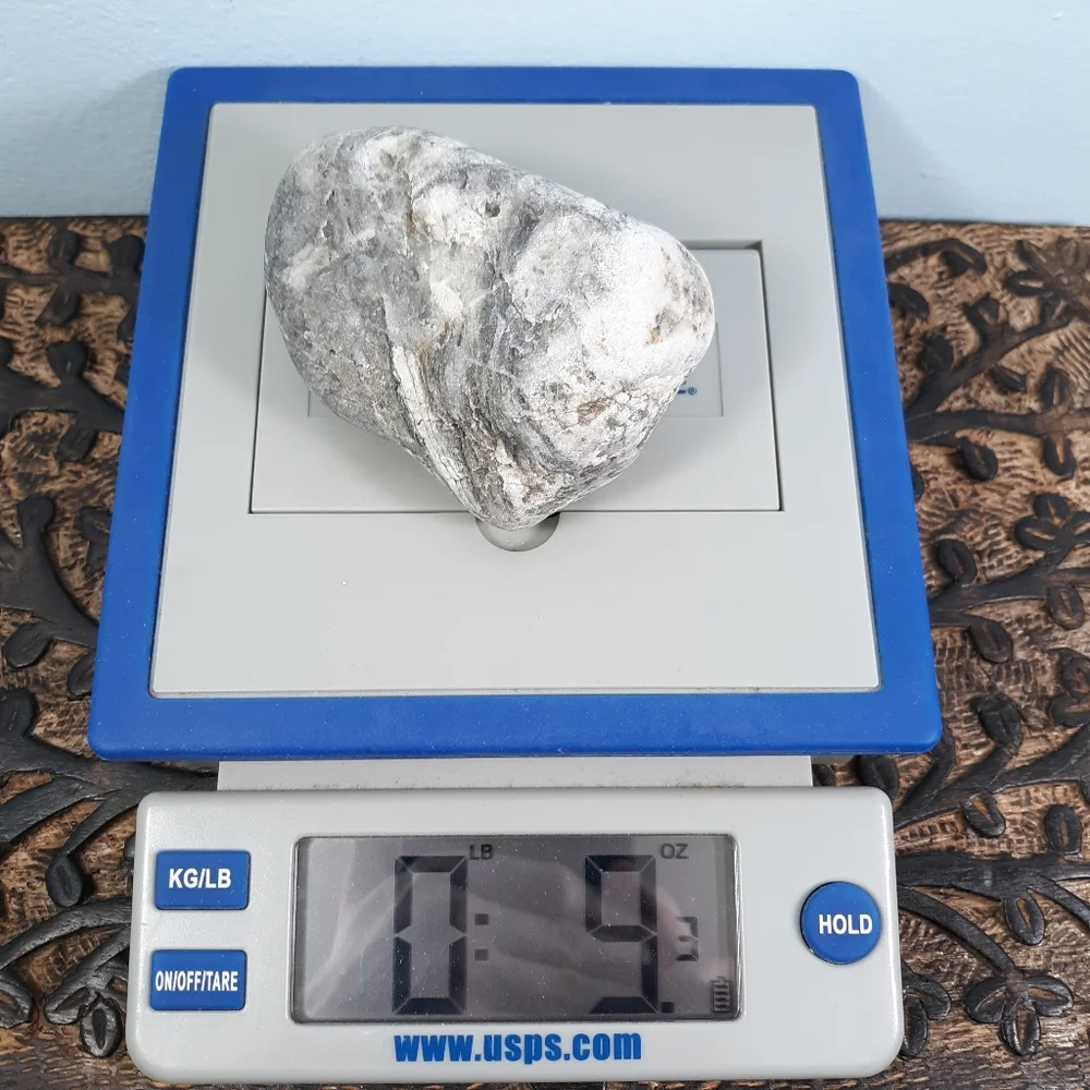 Maine Mottled Stone East Coast Lucky Beach Rock Raw Mineral Specimen Gray White